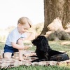 Plavokosi ljepotan prince George danas slavi treći rođendan