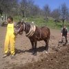 Život na tromeđi: Za večeru jagnjetina iz Srbije, sir iz Crne Gore, a hljeb iz BiH