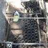 Dvojica Banjalučana uzgajala indijsku konoplju