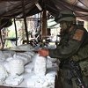 Kolumbija: Uništene 104 laboratorije za proizvodnju kokaina