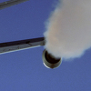 Nauka protiv teorije zavjere: Chemtrailsi ne postoje, za sve je kriv internet