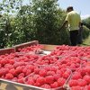 Ruski inspektori danas obilazili proizvodne pogone u Sarajevu i Hercegovini, sutra prave hitan izvještaj