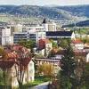 Troje oboljelih od bruceloze u Bugojnu
