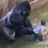 Uprava zoološkog vrta u kojem je ubijena gorila Harambe: Pretrpjeli smo šok, teško nam je