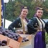 Zatvoren "Sajam šljive" u Gradačcu