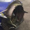 Florida: Motor eksplodirao u toku leta, avion prinudno sletio