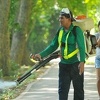 Zika virus odgovoran za gubitak sluha