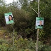 Predizborni znakovi pored puta: Politički plakati SDA postavljeni na drveće na putu za Bjelašnicu