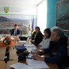 Goražde: Bolest plavog jezika u ekspanziji, oboljelo 1000, a uginulo više od 150 životinja