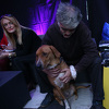 Dogs Trust nagradio sve učesnike natječaja "Moja video priča o udomljavanju"