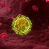 Pronađen lijek za HIV: Muškarac potpuno izliječen novom terapijom