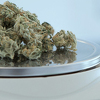 Eksperti Vijeća ministara BiH dali zeleno svjetlo legalizaciji medicinskog kanabisa