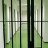 Koliko se čeka na izručenje osumnjičenih: Od nekoliko sedmica do nekoliko godina