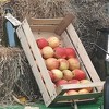 Sajam jabuke u Goraždu: Domaće je najbolje