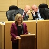 Dženan Đonlagić: Jelka Milićević je premijerka FBiH