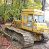 Za osmero uhapšenih zbog nezakonite sječe šume u Tuzli bit će predložen pritvor