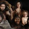 Homo sapiens se pario s nekoliko drugih vrsta čovjeka