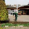 Preduzeće "Park" novim cvjetnim ruhom ukrašava zelene površine u Sarajevu