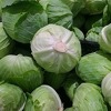 Tradicija proizvodnje kupusa u gornjovrbaskoj regiji