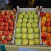 Nakon ukidanja zabrane BiH u Rusiju izvezla prve količine voća