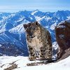 Zapanjujuća ljepota u 15 fotografija: "Planet Earth II" će vas prikovati za TV ekrane