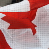 Čelnici Kanade: Amerikancima bismo prostrli crveni tepih, ali vjerovatno neće biti egzodusa