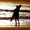 UN: 2016. bit će najtoplija godina otkako se mjere temperature