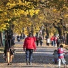Bosanci i Hercegovci na 26 mjestu po poznavanju engleskog jezika