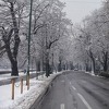 Zimska idila u Sarajevu: Vilsonovo šetalište bit će pretvoreno u zimski grad sa klizalištem