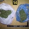 Slovenska policija zaplijenila gotovo jednu tonu narkotika