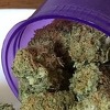 Još jedan korak ka legalizaciji u BiH: Komisija za opojne droge uskoro o medicinskom kanabisu