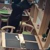 Pogledajte kako žena krade bakreni sahan iz buregdžinice Hanke Paldum