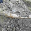 U Bihaću pronađena izuzetno opasna aviobomba teška 250 kg