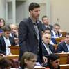Pernar o Grabar-Kitarović: Previše gleda HRT, BiH nije prijetnja za Hrvatsku