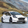 Ford Fiesta WRC na steroidima