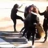 Masovna tuča srednjoškolki u Živinicama, policija i škola istražuju slučaj