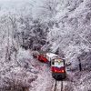 Mađarski fotograf cijeli dan proveo u zaleđenoj šumi kako bi fotografijama dočarao zimsku idilu