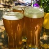 Dobra vijest za ljubitelje piva: Dobro je za srce, obiluje antioksidansima i smanjuje stres