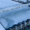 Sibirske temperature zaledile rijeke i jezera širom BiH