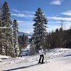 Skijaši i šetači na suncem okupanim planinama Bjelašnici i Jahorini na -23 stepena