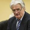 Haško tužilaštvo u žalbi zatražilo doživotni zatvor za Karadžića