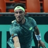Davis Cup: Džumhur se namučio protiv Hurkacza, ali donio BiH prednost od 2:0