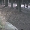 Snimak nadzornih kamera u noći stradanja Dženana Memića u Velikoj Aleji