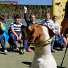 Dogs Trust ponovo nagrađuje osnovce u KS, a ove godine i u Kantonu 10