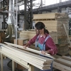 U ovoj godini očekuje se rast industrijske proizvodnje u BiH