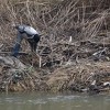 Specijalci i mještani 15. dan tragaju za tijelom Zeničanina Amara Kozlića