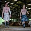 Osvojite ulaznice za projekciju filma "T2 Trainspotting" u multiplexu Cinema City