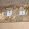 Granična policija BiH zaplijenila 267 kg duhana i 1.500 kutija cigareta