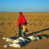 U dva dana u Somaliji od gladi i žeđi umrlo najmanje 110 osoba