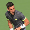 Damir Džumhur 67. na ATP listi, Bašić napredovao deset, Brkić 23 mjesta